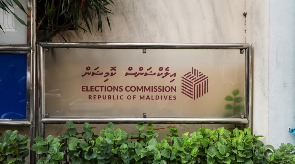 Local Council Elections Set for March 28, Says EC President