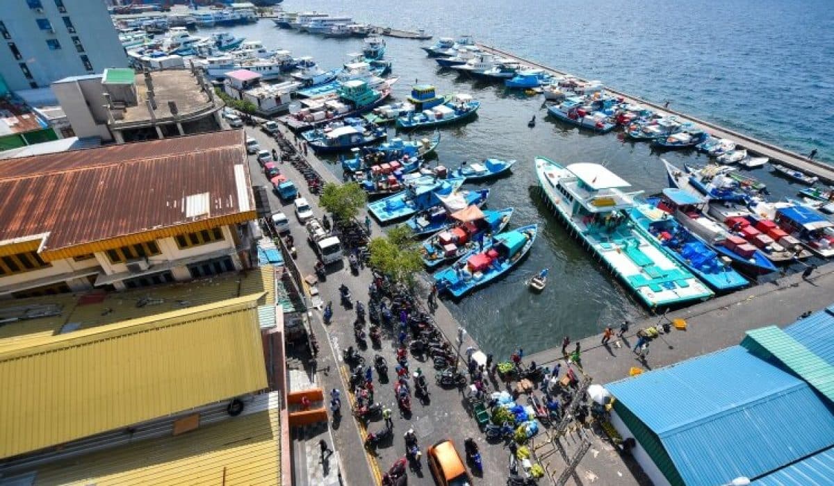North Harbour Reopens After Road Works