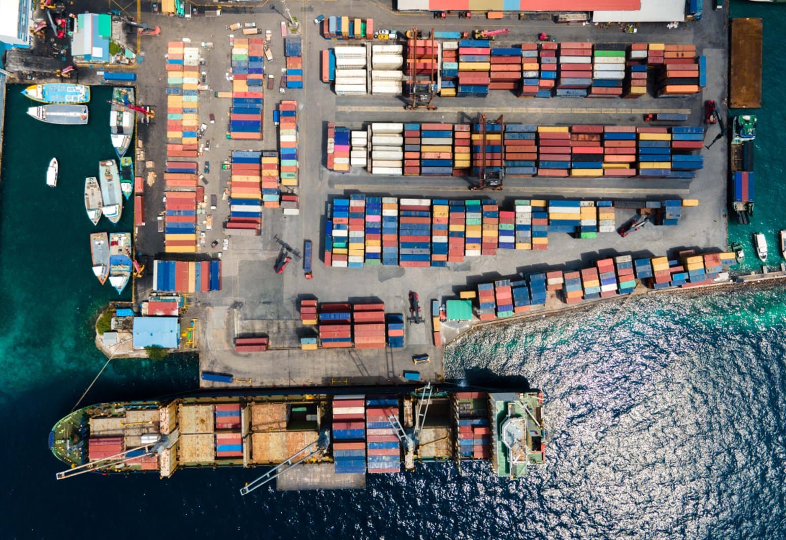 MPL Clears Over 75,000 Perishable Cargo Packages