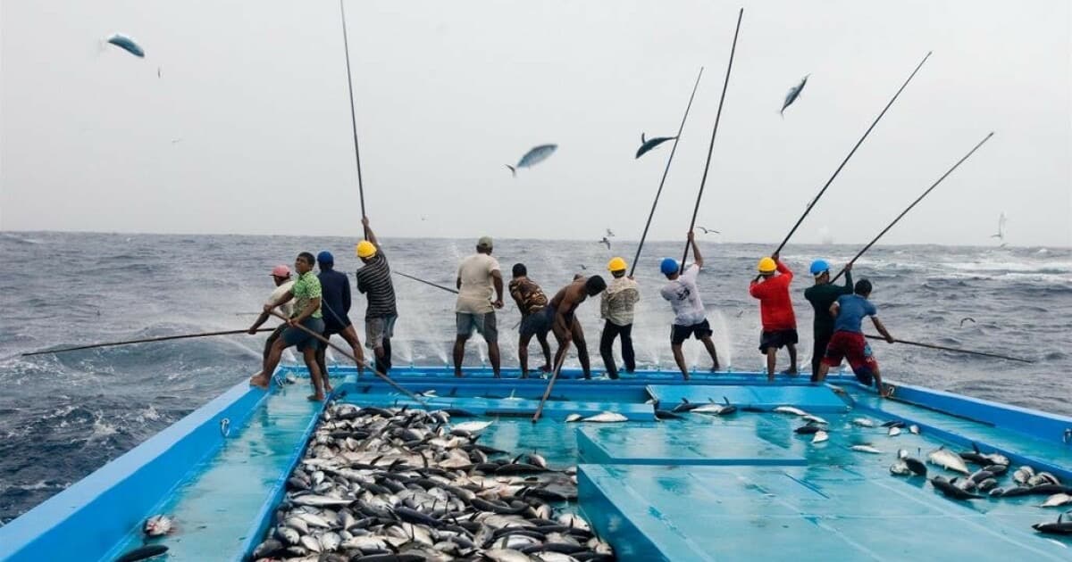 New rules set for fishing, aquaculture and harbours